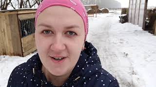 ПРИБАВЛЕНИЮ В СЕМЕЙСТВЕ БЫТЬ!!!!