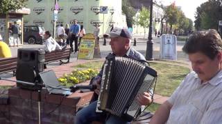 Уличные музыканты! Всем для настроения! Подборка! Buskers, street, musik, song!