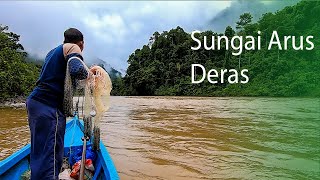 Tradisional: Pemancing tangguh di Sungai Besar | Sungai Indah di tengah hutan