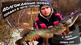 ТРОФЕЙНАЯ ЩУКА! Крокодилы живут рядом с домом. РЫБАЛКА сплавом на реке ПСЕЛ