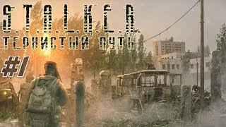Профессор Иголкин и Счастливчик STALKER Тернистый Путь(Thorny Way) #1 + Скачать #ForastPlay