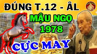 Tử Vi Tuổi Mậu Ngọ 1978 T.12 ÂL Vận May LIÊN TIẾP Ùn Ùn Kéo Tới, Đổi Vận Giàu Có Sau Một Đêm