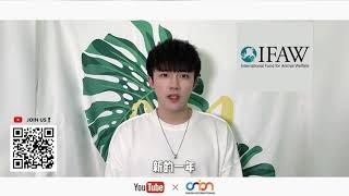新年快乐！祝宝宝们爱情幸福? | 七舅脑爷 Nao Yeah