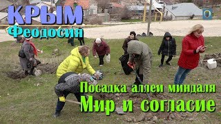 17.03.2018 Крым, Феодосия - Субботник + Посадка аллеи миндаля