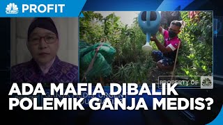 Ahli Soal Ganja Medis: Hanya Alternatif Obat, Waspada "Penumpang Gelap"