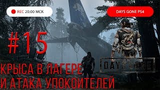 Days Gone прохождение PS4: Жизнь После #15