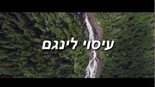 רעות שאקטי • מטפלת עיסוי טנטרה מינית לגברים • לינגם מסאג' ממטפלת לגבר • תל אביב • 050-5707711