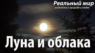 Луна и облака. Mėnulis ir debesys. Moon and clouds.