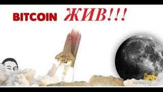 Признаки разворота на криптовалюте и биткоине. Как не потерять последние деньги.