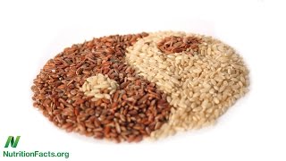 Gut Microbiome - Strike It Rich With Whole Grains