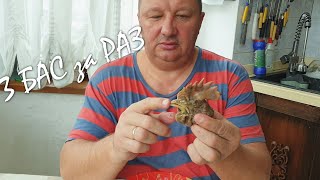 КЕСПЕ с БАС. Лапша по-домашнему