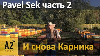 Промышленный матковод Paweł Sęk (PL): и снова #карника - часть №2
