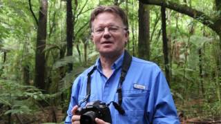 Nikon Fisheye Lens Review - WildlightTV Ep. 9