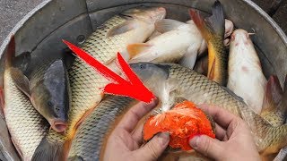 Жменя этой прикормки и РЫБА ДУРЕЕТ если знать как сделать правильно прикормку.
