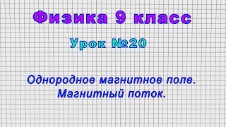 Физика 9 класс (Урок№20 - Однородное магнитное поле. Магнитный поток.)