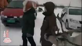 Нарезка смешных видео приколов #5