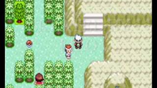 How to find Shiny Groudon on Pokemon Emerald