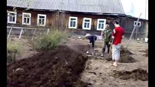 Чудо конь! Мотолебёдка