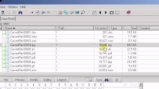 Video 6 - Navigating an image or disk using LBA sector numbers