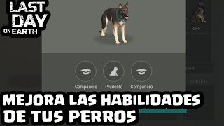 MEJORA LAS HABILIDADES DE TUS PERROS | LAST DAY ON EARTH: SURVIVAL | [El Chicha]