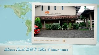 Видео отзыв об отеле Hibiscus Beach Hotel & Villas 3*, Шри-Ланка