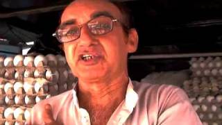 Omelette Man Jodhpur