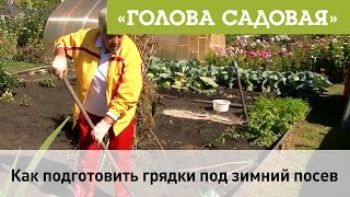 Голова садовая - Как подготовить грядки подзимний посев