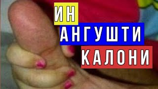 АКСХОЕ, КИ  САРИ ШУМОРО ВАЙРОН МЕКУНАД БОВАР НАМЕКУНЕД ?