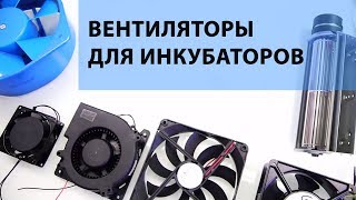 ШКОЛА ИНКУБАТОРОСТРОЕНИЯ №4 (Вентиляторы для инкубаторов яиц - своими руками!)
