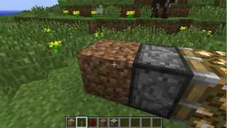 阿神的minecraft教室 『透視Bug！』