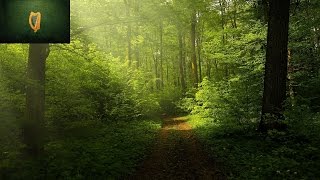 Celtic Instrumental Hymn - 'Tis So Sweet To Trust In Jesus