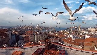 Самая Лучшая Смотровая Площадка в Стамбуле - Уже Все Мечтают Фотографироваться  Здесь