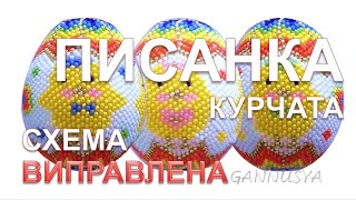 Писанка КУРЧАТКА НОВА / Пасхальное яйцо  ЦЫПЛЯТА Новая / Easter Egg CHICKENS New