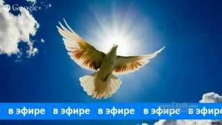 Молитва за мир. Прямой эфир