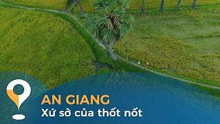 Thời tiết này đi đâu | An Giang - Xứ sở của thốt nốt