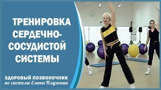 Презентация курса. Тренировка сердечно-сосудистой системы | Елена Плужник