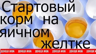 Стартовый корм на яичном желтке, How to make fish food, cómo hacer alimento para peces, 如何使魚飼料