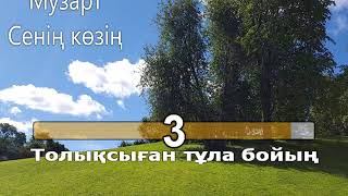 МузАрт Сенің көзің (қазақша караоке, минус)