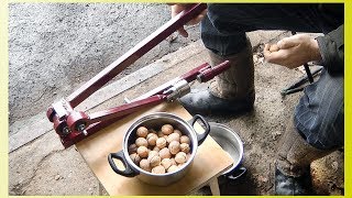 Орехокол ручной