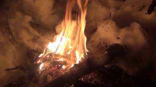 Выживание в зимней тайге . видео выживание Смотреть выживание