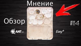 Муравьиная ферма Easy + от ANTlab / Распаковка / Обзор / Субъективное мнение  // #114