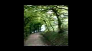 Vittorio Veneto - Parco Papadopoli a Ceneda