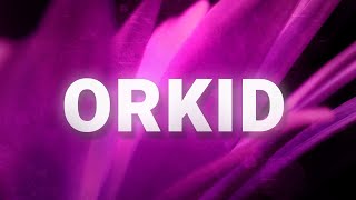 Orkid - CloudsNdrivebys (Lyrics)