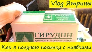 Как я получаю посылку с пиявками из Балаково