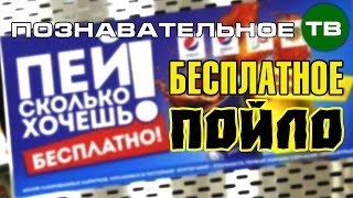 Заметки: Бесплатное пойло - пей, сколько хочешь! (Познавательное ТВ, Артём Войтенков)