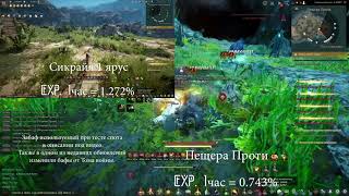 Сикрайя/Пещера Проти - опыт с 61 на 62 лвл. Black Desert Online
