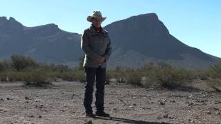 Julie Goodnight: Salt and horses
