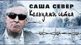 САША СЕВЕР считает  их камикадзе