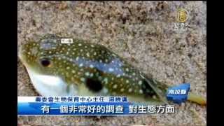 【自然资源_中国热点真相新闻报导】中国大陆生态失衡 多物种濒临灭绝