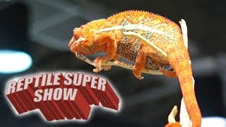 Reptile Super Show, Pomona 2017
